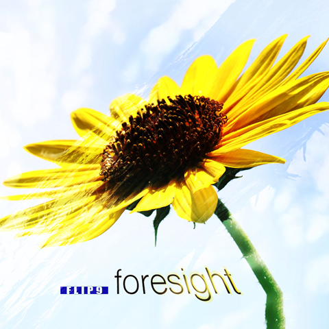 foresight—flip9