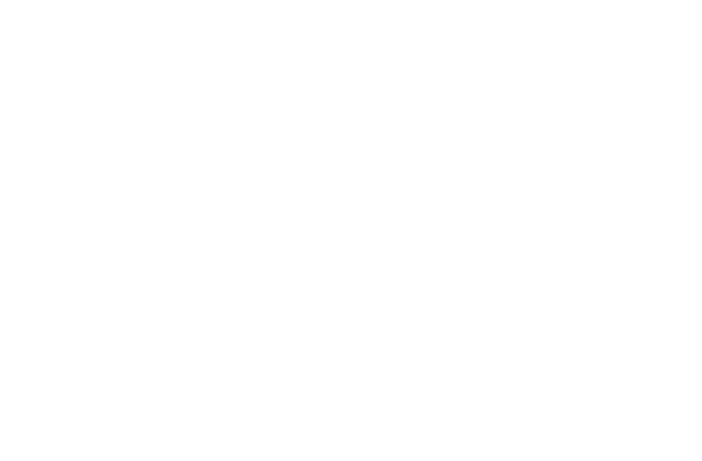 flip9-logo